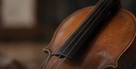 Illustrative stringed musical instrument